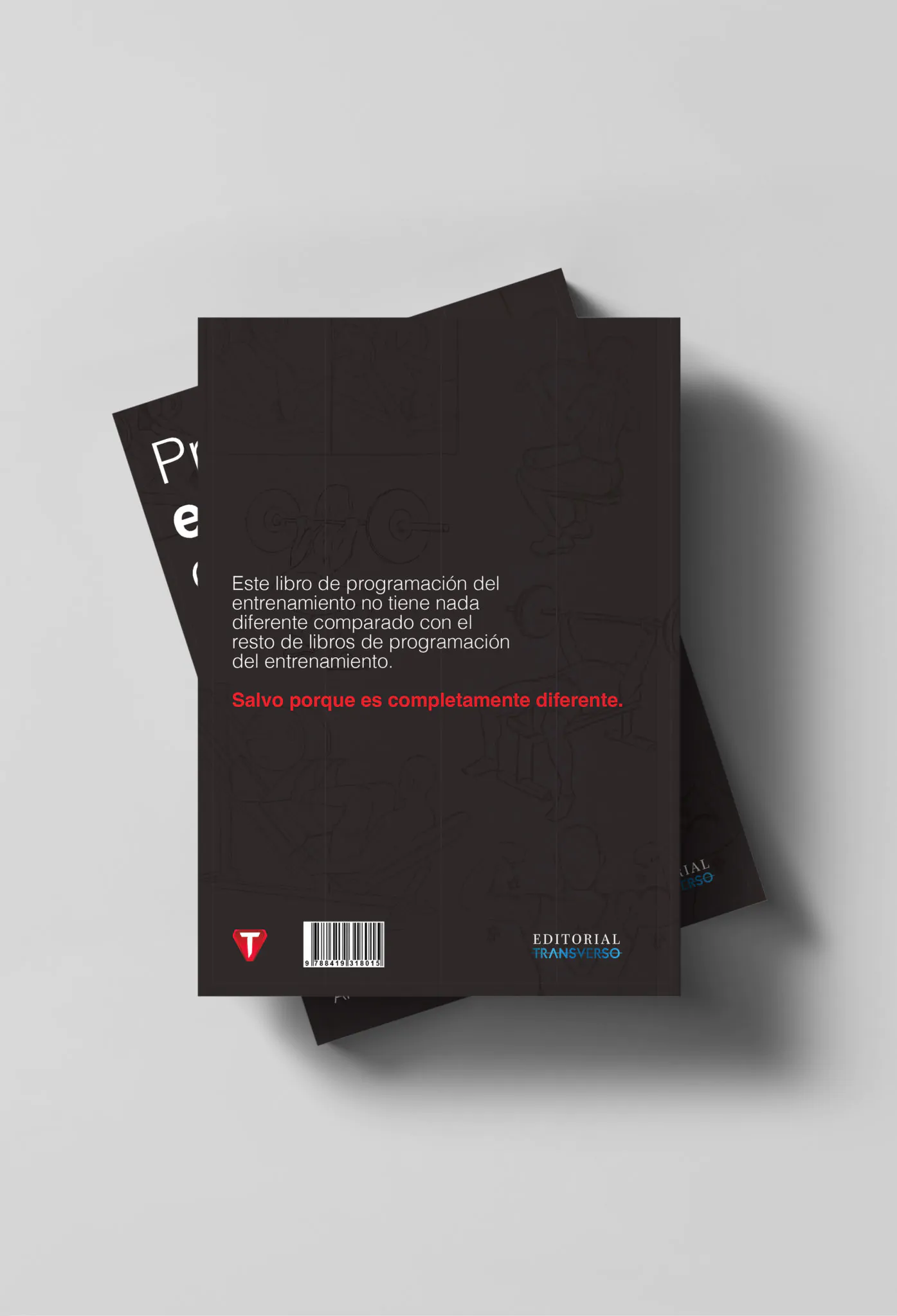 MOCKUP-CONTRAPORTADA-1-scaled.jpg
