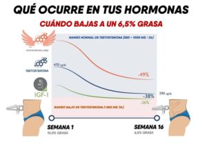 alcohol y aumento de masa